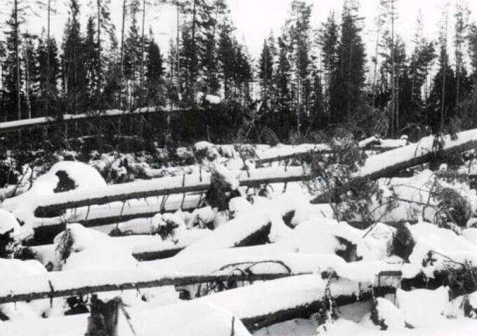 Stormfällningen 1954. Foto Åke Troedsson.